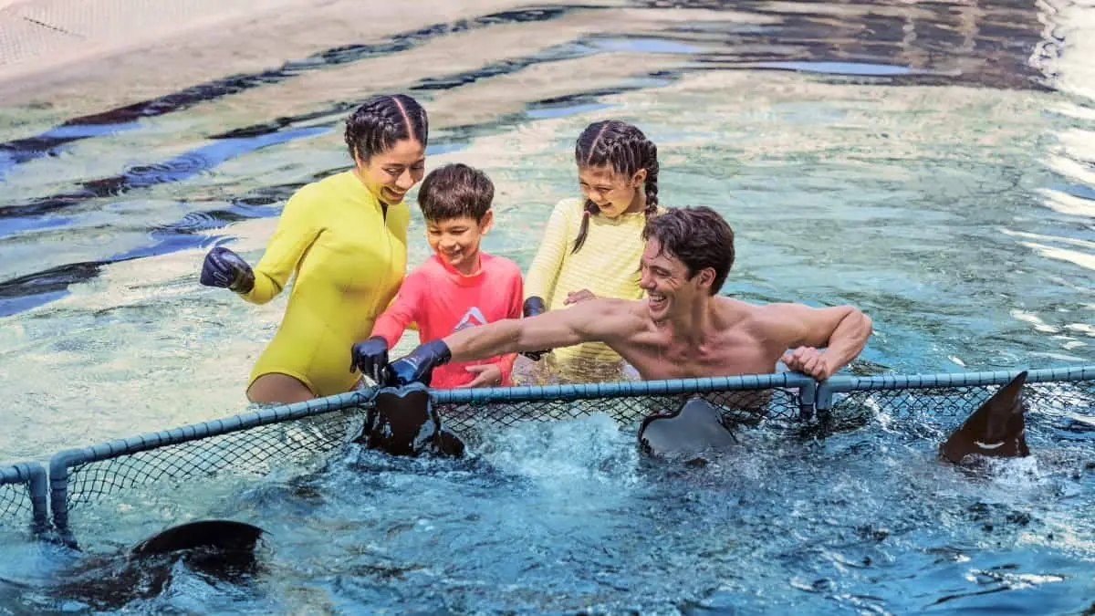 Adventure Cove Waterpark — Adventure Cove Waterpark, Singapore