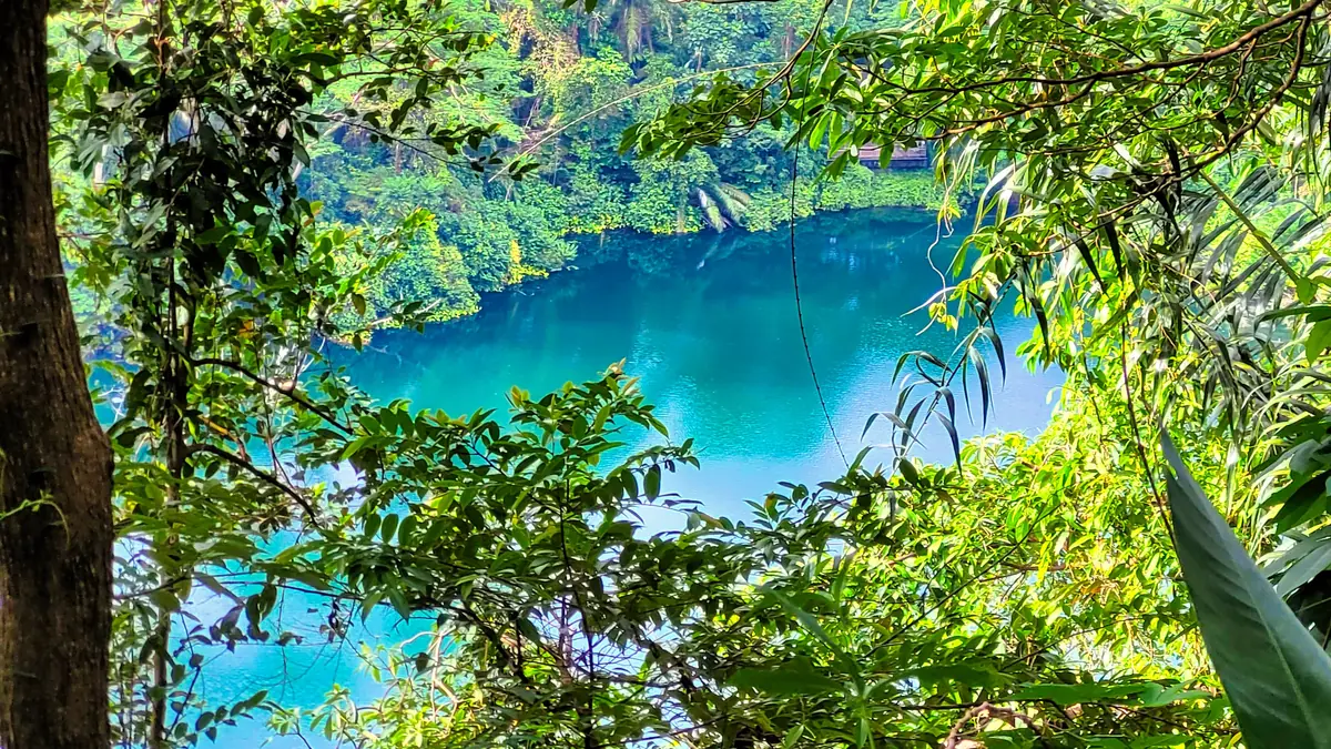 Bukit Timah Nature Reserve — Bukit Timah Nature Reserve, Singapore — hindhede quarry