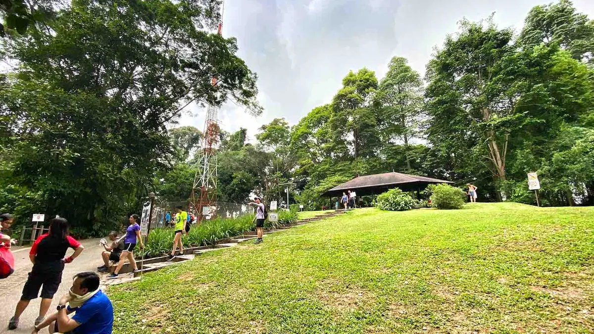 Bukit Timah Nature Reserve — Bukit Timah Nature Reserve, Singapore — summit area