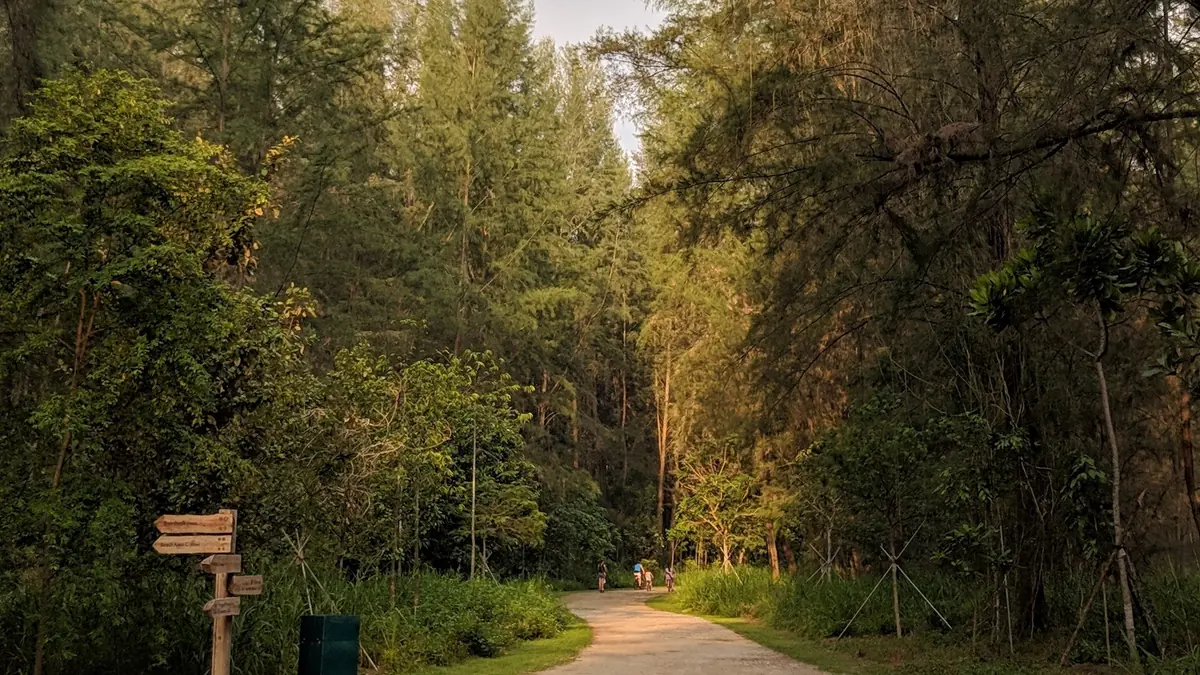 Coney Island Park — The wooded coastal trail and mangroves of Coney Island Park in north-east Singapore