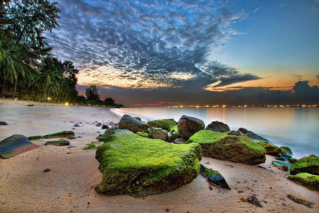 Coastal path and beach at East Coast Park, Singapore, with cyclists and casuarina trees