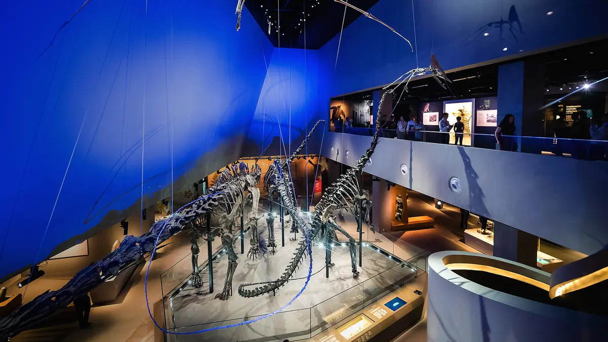 Lee Kong Chian Natural History Museum — Lee Kong Chian Natural History Museum, Singapore — exterior