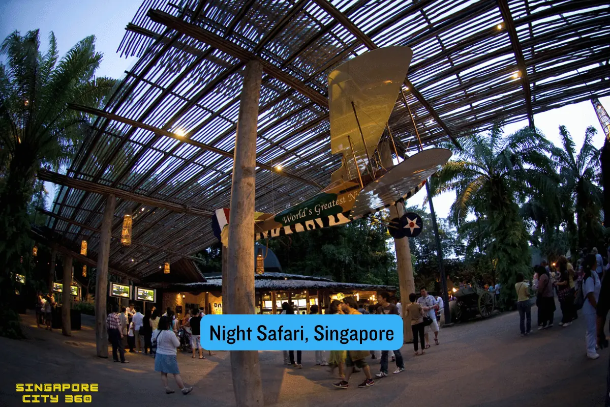 Nocturnal animal seen close up on a walking trail at Night Safari Singapore