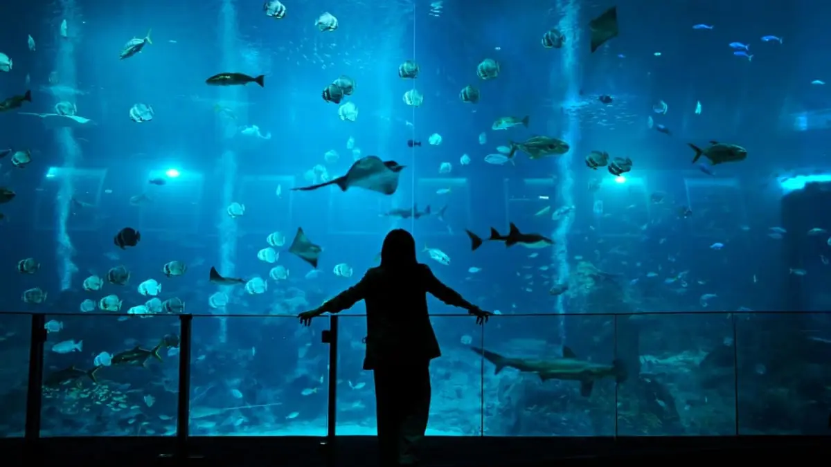 Singapore Oceanarium — Singapore Oceanarium, Singapore
