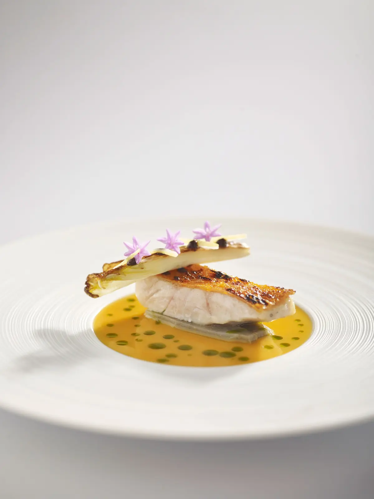 A fish course in saffron sauce at Buona Terra, Singapore