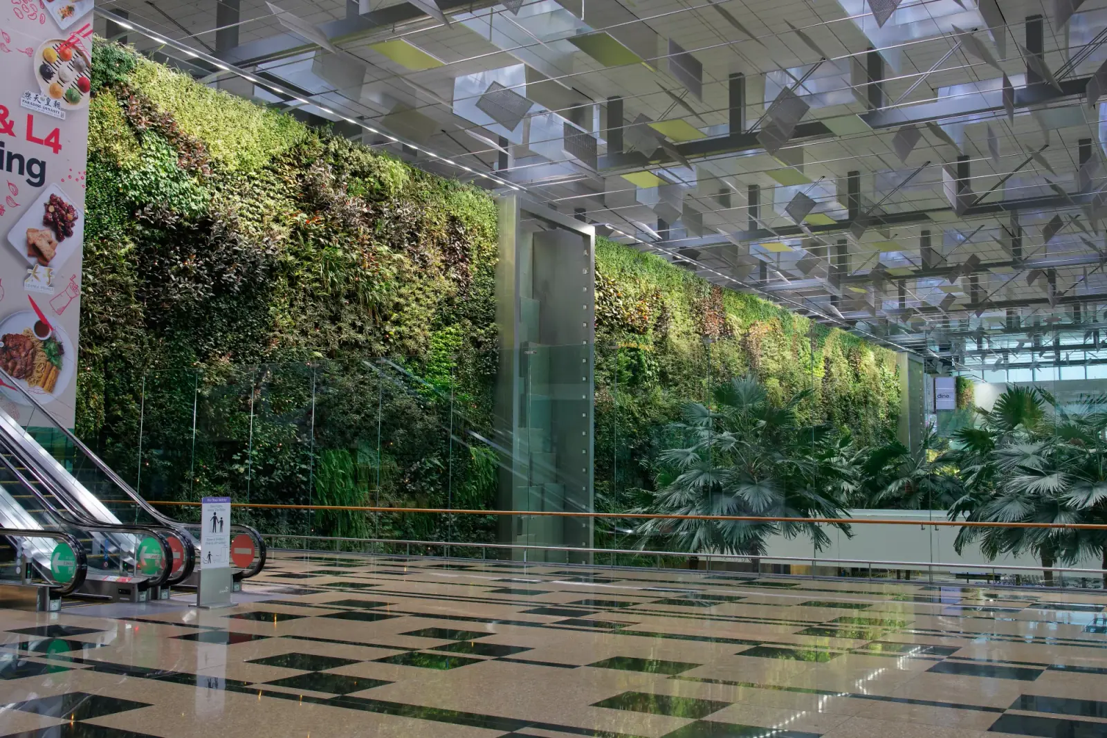 Changi Airport — The living green wall at Terminal 3, Changi Airport