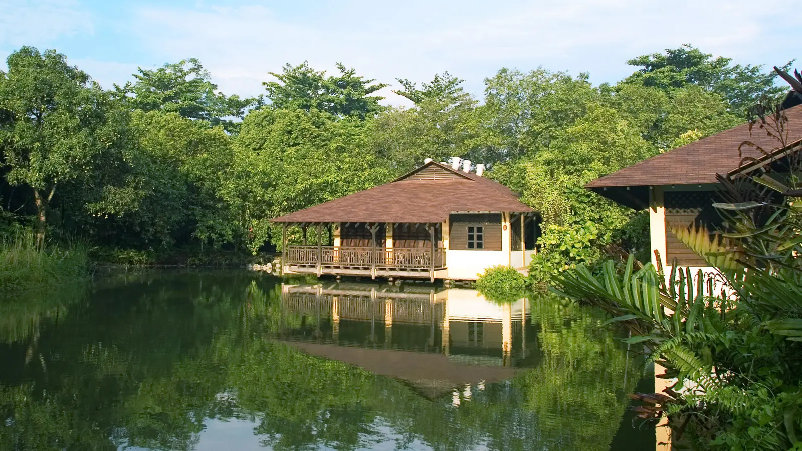 Sungei Buloh Wetland Reserve — Boardwalk through mangrove wetland at Sungei Buloh Wetland Reserve, Singapore